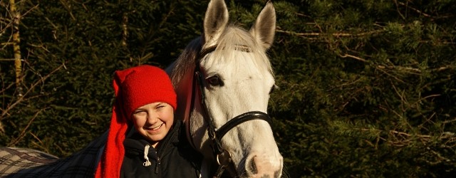 Katja og Solo ønsker alle en riktig god jul! For selv om snøen glimrer med sitt fravær og varmegradene hoper seg opp i gradestokken er det faktisk jul! Derfor var...