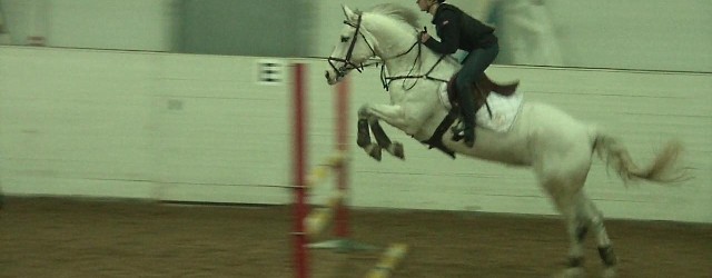 Da var tiden kommet! Etter en drøy måned med behandlinger, ny sal og generelt rolige dager, var det klar for ny sprangtrening. Den første i 2012 og faktisk den første...