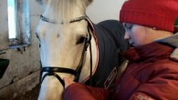 Etter å ha sluppet en håndfull hester ut i mårrapaddockene var det klart for en liten skrittetur i vinterlandskapet rundt Mossemarka. Solo hadde unnagjort frokosten og var klar for en...