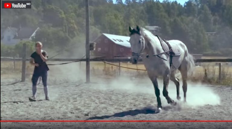 Video av Pop-Corn som longeres