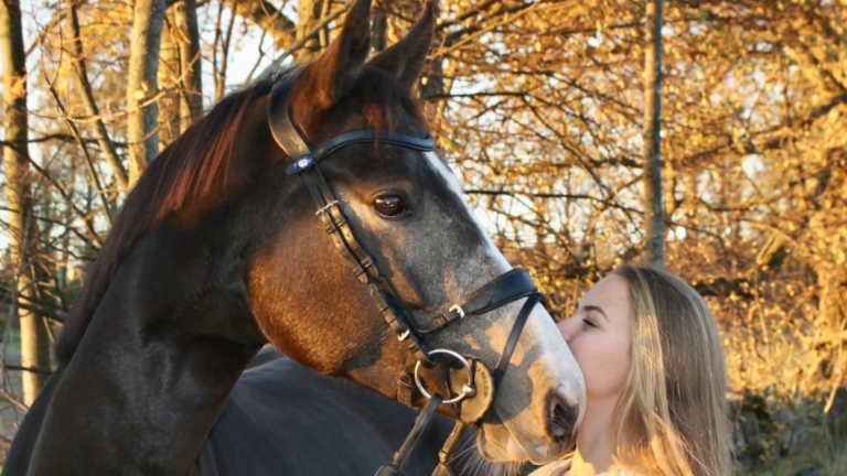 Sparkling Diamond aka Fia!