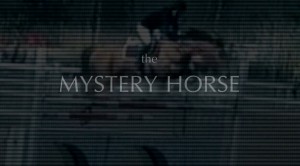 the Mystery Horse