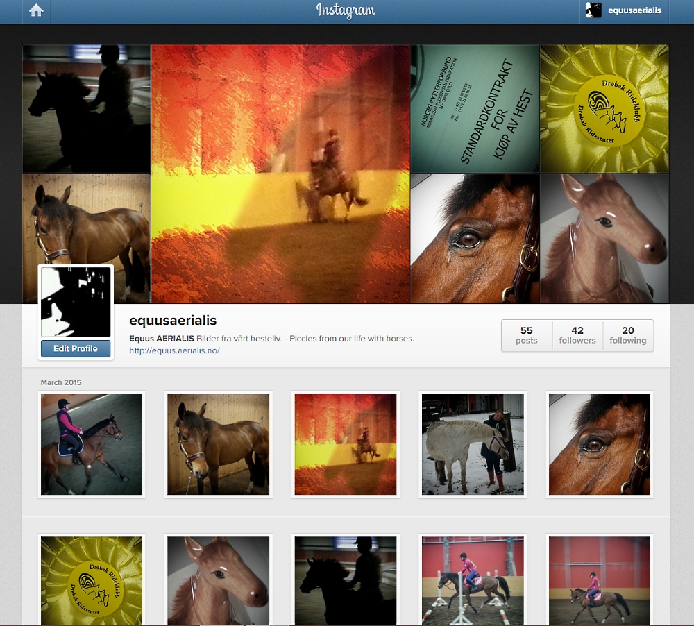 Equus AERIALIS er på Instagram!