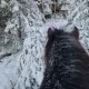 Fantastisk turterreng